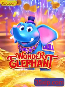 Explorando o Mundo de WonderElephant: Descrição, Introdução e Regras do Jogo